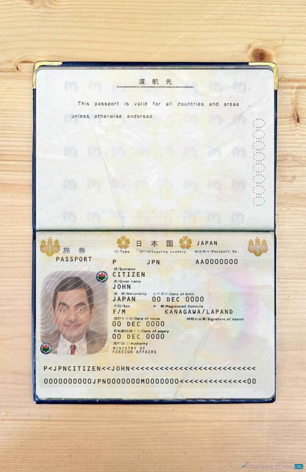 Download Japan pass photo look Photoshop template